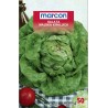 SALATA MAJSKA KRALJICA